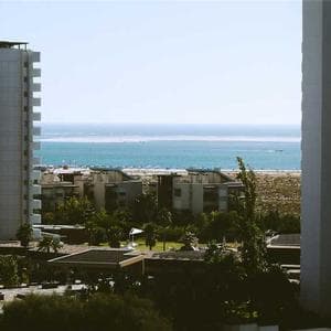 يوسف مراد